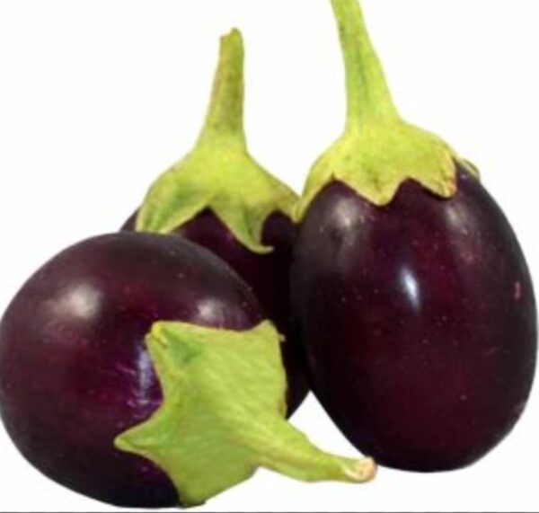 BrightFarms White Brinjal Eggplant 1kg | ব্রাইটফার্মস সাদা বেগুন দাম বাংলাদেশে