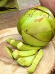 Chalta (Elephant Apple) | চালতা ফল দাম ও উপকারিতা বাংলাদেশে