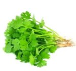 Coriander Leaves Dhonia Pata 100g | ধনেপাতা পাতা দাম ও উপকারিতা বাংলাদেশে