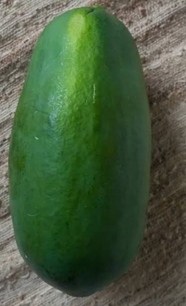 Green Papaya (Kacha Pepe) 1400g | কাঁচা পেঁপে এর দাম ও উপকারিতা বাংলাদেশে