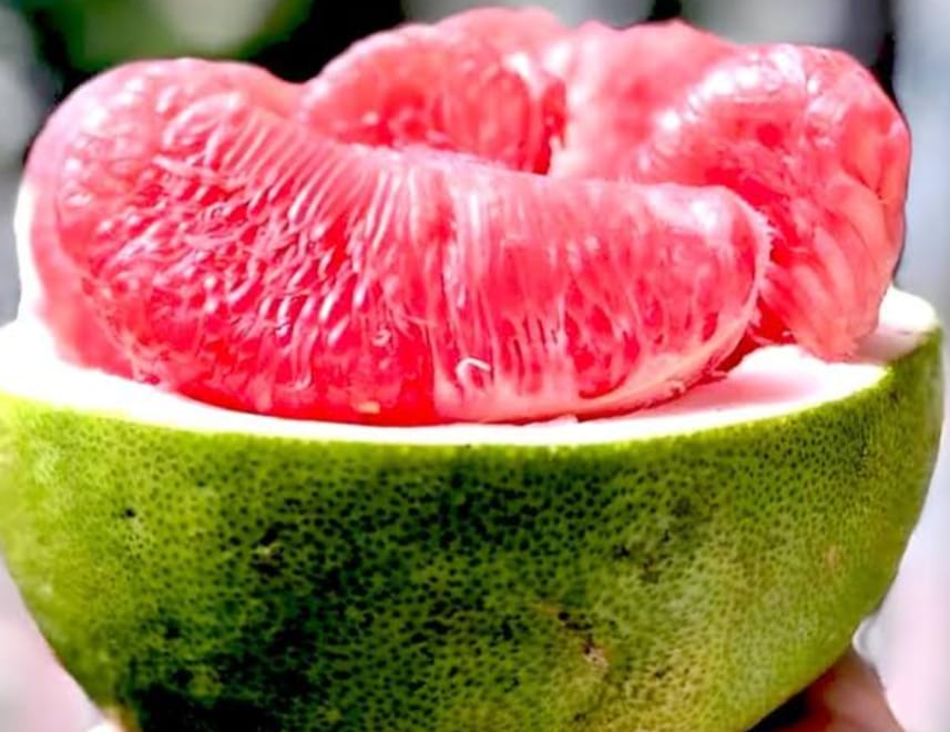 Jambura (Pomelo) | জাম্বুরা দাম ও উপকারিতা বাংলাদেশে
