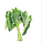 Kochu Shak 1 Bundle | কোচু শাক দাম ও পুষ্টিগুণ বাংলাদেশে