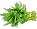 Kolmi Shak Water Spinach 1 Bundle | কলমি শাক দাম ও পুষ্টিগুণ বাংলাদেশে