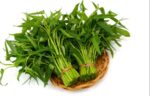 Kolmi Shak Water Spinach 1 Bundle | কলমি শাক দাম ও পুষ্টিগুণ বাংলাদেশে