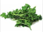 Lau Shak (Sweet Bitter Melon Leaves) 1 bundle | লাউ শাক দাম ও উপকারিতা বাংলাদেশে