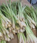 Lemon Grass Stalk 250 gm | লেমনগ্রাস দাম ও উপকারিতা বাংলাদেশে