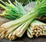 Lemon Grass Stalk 250 gm | লেমনগ্রাস দাম ও উপকারিতা বাংলাদেশে