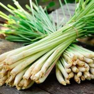 Lemon Grass Stalk 250 gm | লেমনগ্রাস দাম ও উপকারিতা বাংলাদেশে