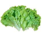 Lettuce Leaves 100 gm | লেটুস পাতা দাম ও উপকারিতা বাংলাদেশে