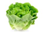 Lettuce Leaves 100 gm | লেটুস পাতা দাম ও উপকারিতা বাংলাদেশে