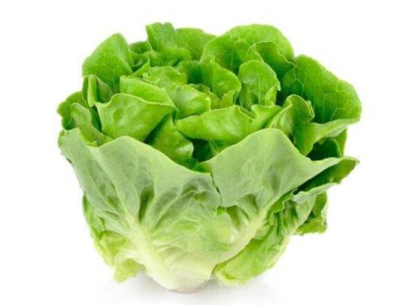 Lettuce Leaves 100 gm | লেটুস পাতা দাম ও উপকারিতা বাংলাদেশে