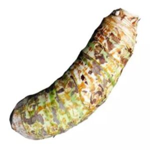 Lomba Kochu 1 pc | লম্বা কচু দাম ও উপকারিতা বাংলাদেশে