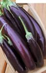 Long Brinjal 500g | লম্বা বেগুন দাম বাংলাদেশে