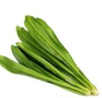 Long Coriander Leaves (Bilati Dhonia Pata) 100 gm | লং ধনেপাতা দাম ও উপকারিতা বাংলাদেশে