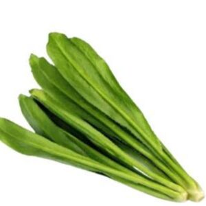 Long Coriander Leaves (Bilati Dhonia Pata) 100 gm | লং ধনেপাতা দাম ও উপকারিতা বাংলাদেশে