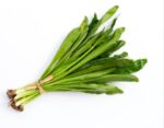 Long Coriander Leaves (Bilati Dhonia Pata) 100 gm | লং ধনেপাতা দাম ও উপকারিতা বাংলাদেশে
