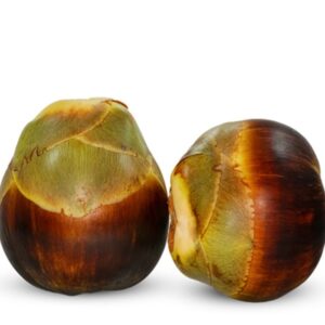 Palm Fruit (Taal) | তাল ফল দাম ও উপকারিতা বাংলাদেশে