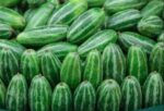 Pointed Gourd (Potol) 500g | পটল এর দাম ও উপকারিতা বাংলাদেশে
