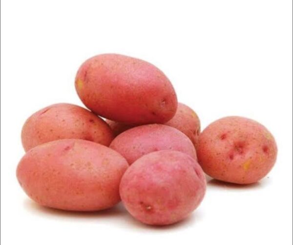 Potato Red Lal Alu Cardinal 1kg | লাল আলু দাম ও উপকারিতা বাংলাদেশে
