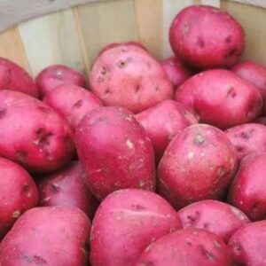 Potato Red Lal Alu Cardinal 1kg | লাল আলু দাম ও উপকারিতা বাংলাদেশে