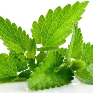 Pudina Pata (Mint Leaves) 100 gm | পুদিনা পাতা দাম ও উপকারিতা বাংলাদেশে