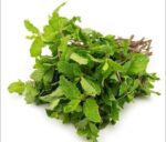 Pudina Pata (Mint Leaves) 100 gm | পুদিনা পাতা দাম ও উপকারিতা বাংলাদেশে