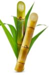 Sugarcane (আখ) 1.5ft Long 4 Pieces 1300g | আখের দাম ও উপকারিতা বাংলাদেশে