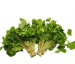 Thankuni Pata (Pennywort Leaves) 1 Bundle | থানকুনি পাতা দাম ও উপকারিতা বাংলাদেশে
