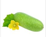 Wax Gourd Jali Kumra 800g | জালি কুমড়া সবজি দাম ও উপকারিতা বাংলাদেশে