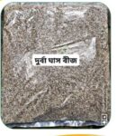 দূর্বা ঘাস (Barnyard Grass) বীজ 500 gm | Barnyard Grass Seed Price in Bangladesh