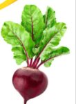 Hybrid Beetroot Seeds | অধিক ফলনশীল বিটরুট বীজ দাম বাংলাদেশে