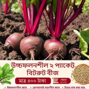Hybrid Beetroot Seeds | অধিক ফলনশীল বিটরুট বীজ দাম বাংলাদেশে