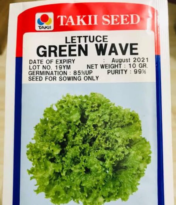 Hybrid Lettuce Seeds Price in Bangladesh | উচ্চ ফলনশীল লেটুস পাতা বীজ