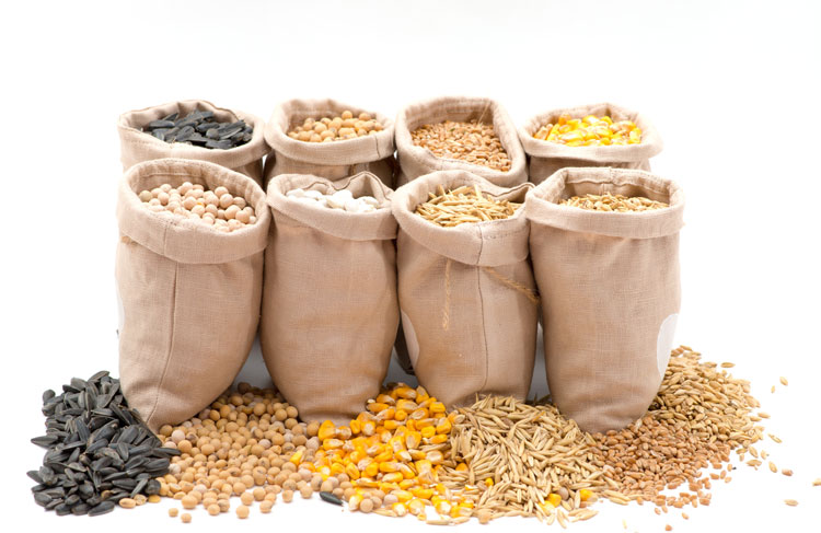 Animal feed store