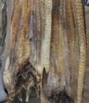 বড় সামুদ্রিক বাইম শুটকি 500g – 5% লবণযুক্ত