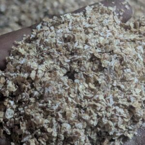 গমের ভুষি (গরু খাওয়ার) – ৫ কেজি ও ৫০ কেজি (বাংলাদেশে)