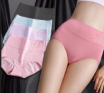 কটন হাই ওয়েস্ট ফুল কভার প্যান্টি দাম বাংলাদেশে