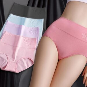 কটন হাই ওয়েস্ট ফুল কভার প্যান্টি দাম বাংলাদেশে