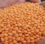 lentils dal 1kg price Bangladesh mosur mug chola dal