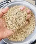 40 kg paddy price Bangladesh dhan price BD