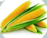 Sweet Corn Seeds 3 Pcs price in Bangladesh