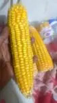 Sweet Corn Seeds 3 Pcs price in Bangladesh