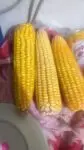 Sweet Corn Seeds 3 Pcs price in Bangladesh