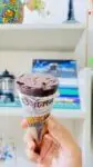 Savoy Discone Ice Cream Coffee with Dark Chocolate 110ml Price in Bangladesh